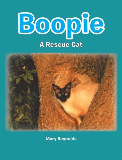 Mary Reynolds - Boopie, E-bok