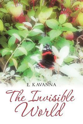 Invisible World