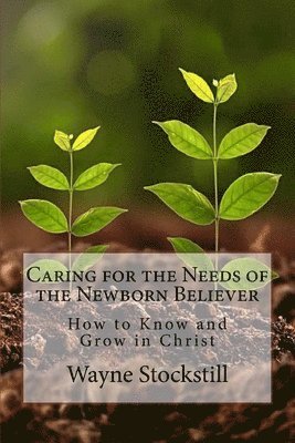 Bruce Hitchcock, Wayne a. Stockstill - Caring for the Needs of the Newborn Believer: How to Know and Grow in Christ, Häftad