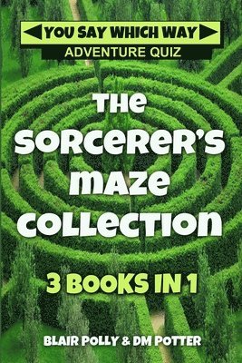 DM Potter, Blair Polly - Sorcerer's Maze Collection, Häftad
