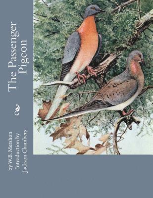 W. B. Mershon - The Passenger Pigeon, Häftad. Tillgänglighet: Lägg i varukorg