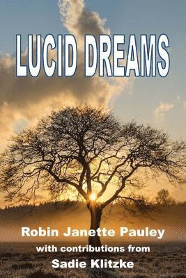 John Patrick Boutilier - Lucid Dreams, Häftad. Tillgänglighet: Lägg i varukorg