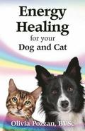 Energy Healing for your Dog and Cat