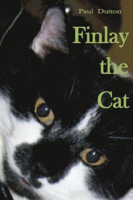 Paul Dutton - Finlay the Cat, Häftad