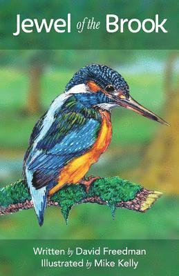 Mike Kelly, David Freedman - Jewel of the Brook: The Kingfisher's Tale, Häftad. Tillgänglighet: Lägg i varukorg