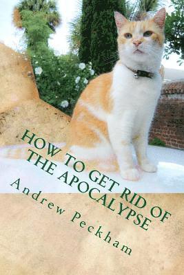 Andrew Peckham - How to Get Rid of the Apocalypse, Häftad