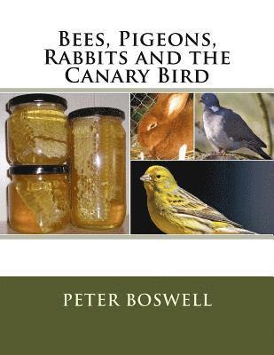 Peter Boswell - Bees, Pigeons, Rabbits and the Canary Bird, Häftad. Tillgänglighet: Lägg i varukorg