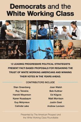 Stan Greenberg, Ruy Teixeira - Democrats and the White Working Class, Häftad