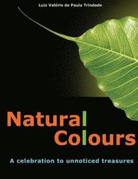 Natural Colours: A celebration to unnoticed treasures