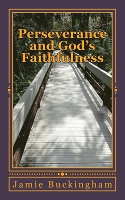 Jamie Buckingham, Bruce Buckingham - Perseverance and God's Faithfulness, Häftad. Tillgänglighet: Lägg i varukorg