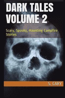 Story Ninjas, S Cary - Dark Tales Volume 2, Häftad. Tillgänglighet: Lägg i varukorg
