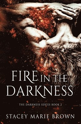 Stacey Marie Brown - Fire in the Darkness, Häftad. Tillgänglighet: Lägg i varukorg