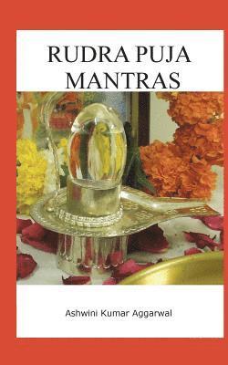 Ashwini Kumar Aggarwal - Rudra Puja Mantras, Häftad. Tillgänglighet: Lägg i varukorg