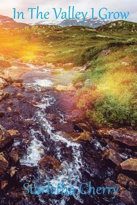 Maurice Kenneth Menchan Sr, Starletha Cherry - In The Valley I Grow, Häftad. Tillgänglighet: Lägg i varukorg