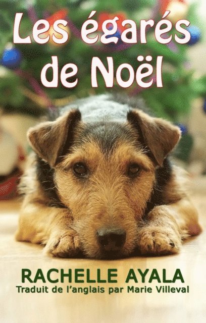 Rachelle Ayala - Les égarés de Noël, E-bok