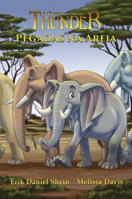 Erik Daniel Shein - Pegadas na Areia, E-bok