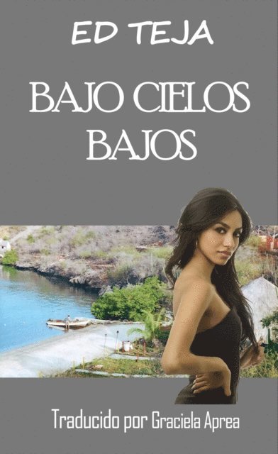 Ed Teja - Bajo cielos bajos, E-bok