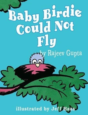 Rajeev Gupta - Baby Birdie Could Not Fly, Häftad. Tillgänglighet: Lägg i varukorg