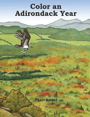 Sheri Amsel - Color an Adirondack Year, Häftad. Tillgänglighet: Lägg i varukorg