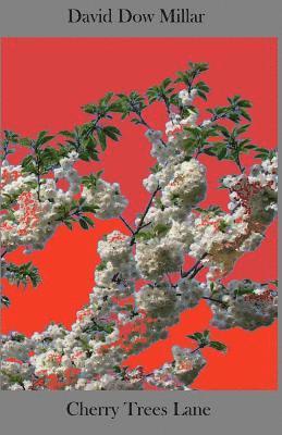 David Dow Millar - Cherry Trees Lane, Häftad. Tillgänglighet: Lägg i varukorg