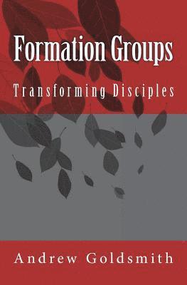 Andrew Goldsmith - Formation Groups: Transforming Disciples. A resource for small groups, Häftad