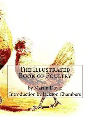 Martin Doyle - The Illustrated Book of Poultry, Häftad