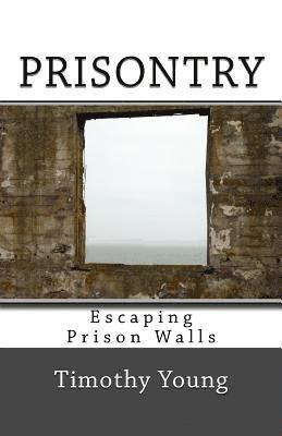 Timothy Young - Prisontry: Escaping Prison Walls, Häftad. Tillgänglighet: Lägg i varukorg