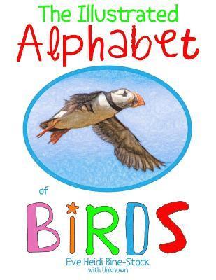 Unknown, Eve Heidi Bine-Stock - The Illustrated Alphabet of Birds, Häftad
