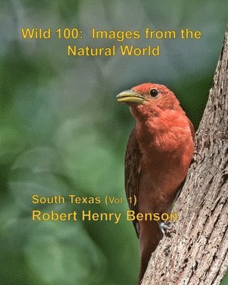 Robert Henry Benson - Wild 100: Images from the Natural World: South Texas (vol. 1), Häftad. Tillgänglighet: Lägg i varukorg