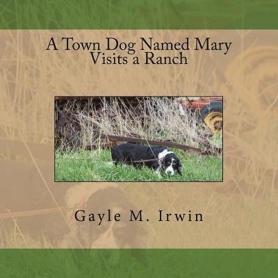Gayle M Irwin - Town Dog Named Mary Visits a Ranch, Häftad. Tillgänglighet: Lägg i varukorg