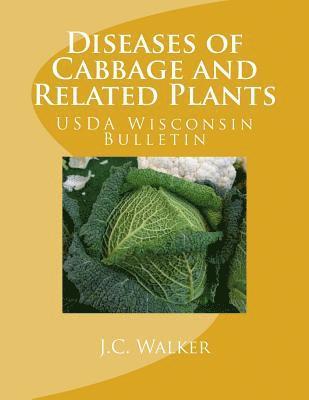 U. S. Dept of Agriculture, Division of Fruit and Vegetable Crops - Diseases of Cabbage and Related Plants: USDA Wisconsin Bulletin, Häftad