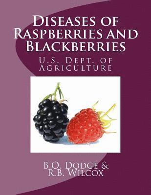 R. B. Wilcox, U. S. Dept of Agriculture - Diseases of Raspberries and Blackberries, Häftad