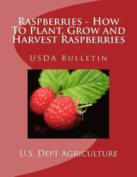 Raspberries - How To Plant, Grow and Harvest Raspberries: USDA Bulletin