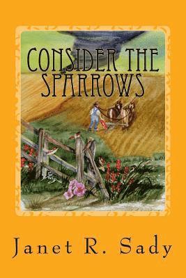 Janet R. Sady - Consider the Sparrows, Häftad. Tillgänglighet: Lägg i varukorg