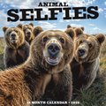 Animal Selfies 2026 12 X 12 Wall Calendar