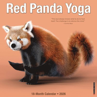 Willow Creek Press - Red Panda Yoga 12 X 12 Wall Calendar, Övrigt. Tillgänglighet: Lägg i varukorg