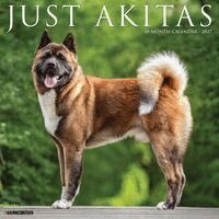 Willow Creek Press - Akitas 2027 Wall, Övrigt. Tillgänglighet: Kommande