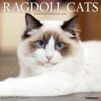 Ragdoll Cats 2027 12 X 12 Wall Calendar, Övrigt