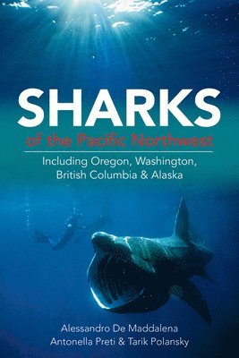 Sharks of the Pacific Northwest