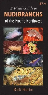 Rick M. Harbo - Field Guide to Nudibranchs of the Pacific Northwest. Tillgänglighet: Tillfälligt slut