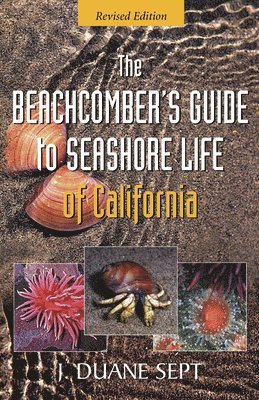 J. Duane Sept - Beachcomber's Guide to Seashore Life of California, Häftad. Tillgänglighet: Tillfälligt slut