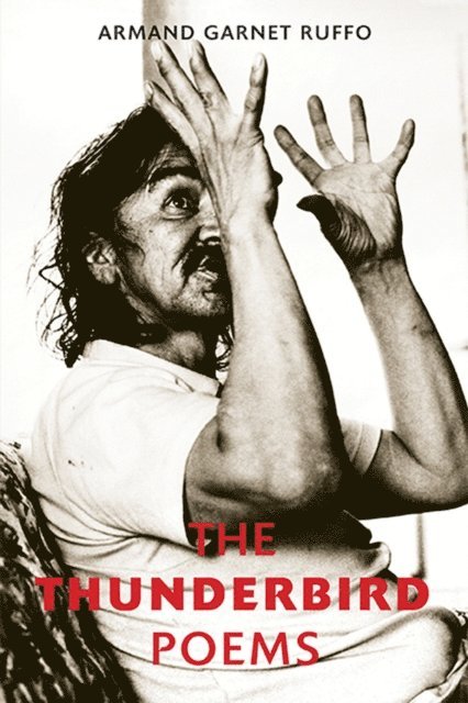Armand  Garnet Ruffo - Thunderbird Poems, E-bok