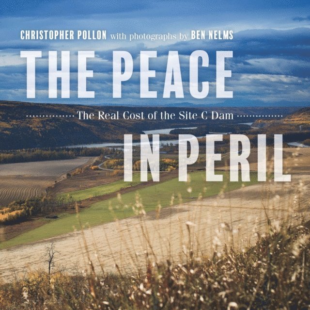 Christopher Pollon - Peace in Peril, E-bok