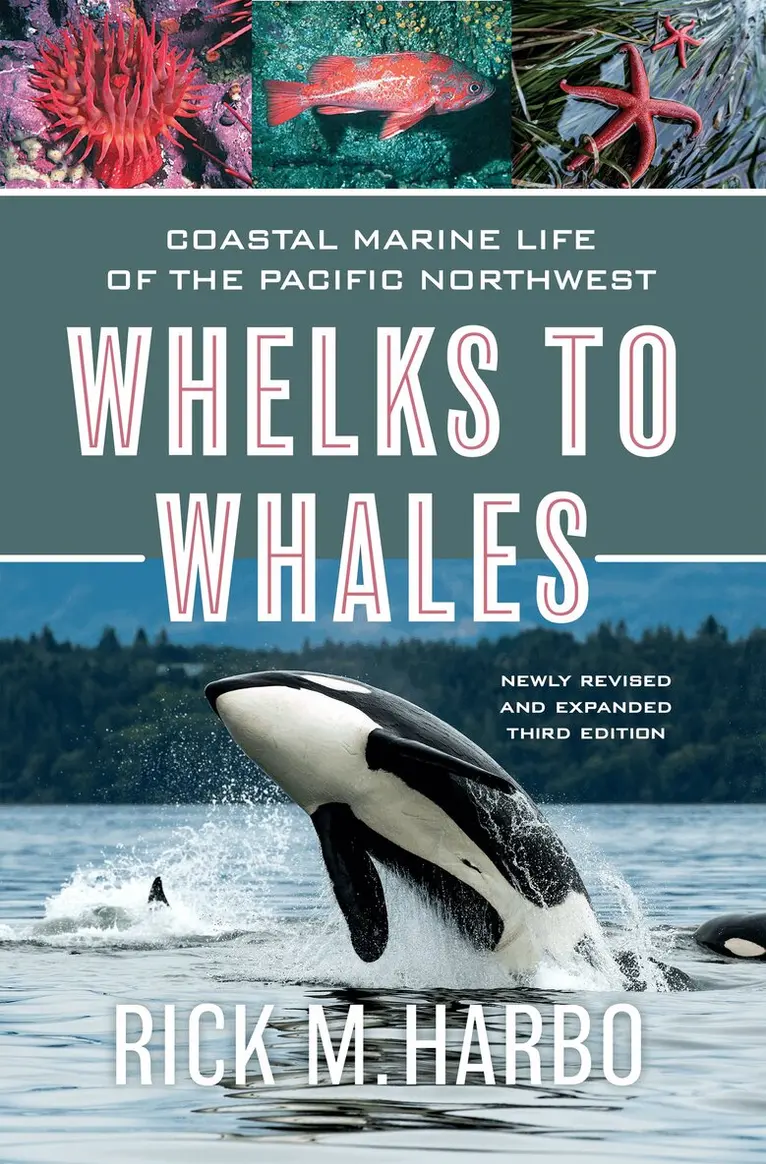 Rick M. Harbo - Whelks to Whales, Häftad. Tillgänglighet: Lägg i varukorg