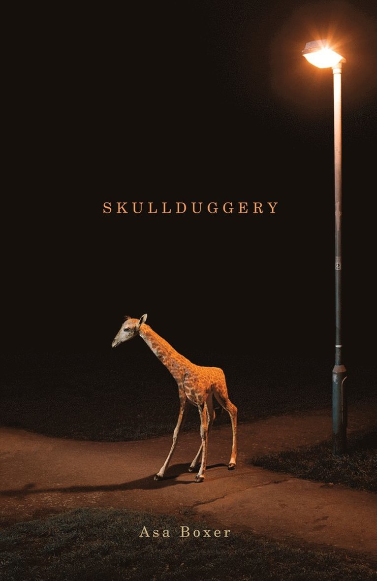 Asa Boxer - Skullduggery, Häftad