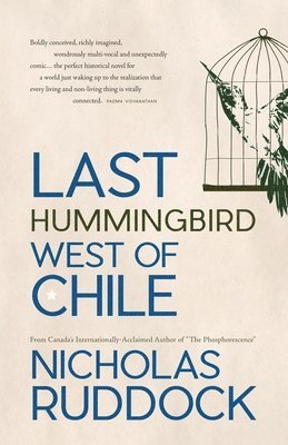 Nicholas Ruddock - Last Hummingbird West of Chile, Häftad
