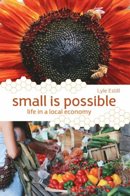 Lyle Estill - Small is Possible, E-bok