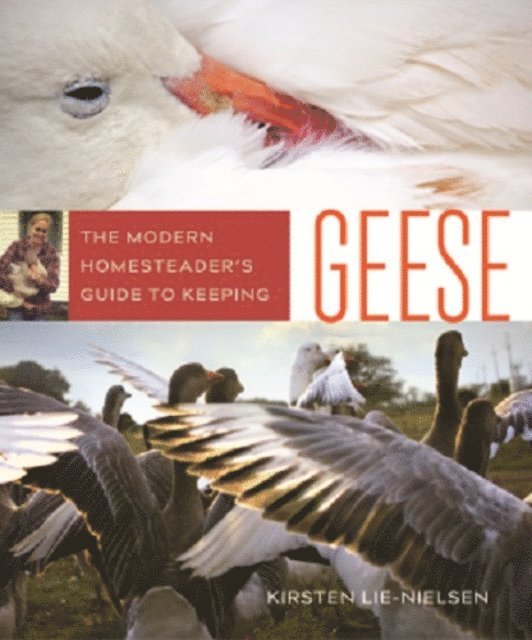 Kirsten Lie-Nielsen - Modern Homesteader's Guide to Keeping Geese, E-bok