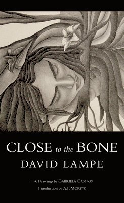 David Lampe - Close to the Bone, Häftad