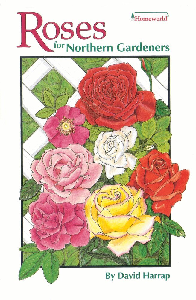 Roses for Northern Gardeners